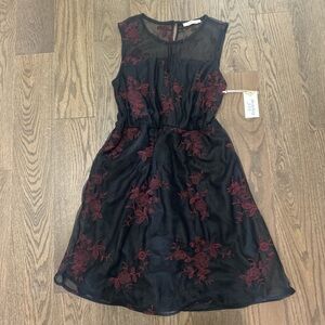 Black mesh dress with dark red embroidery details